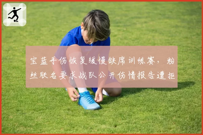 宝蓝手伤恢复缓慢缺席训练赛，粉丝联名要求战队公开伤情报告遭拒