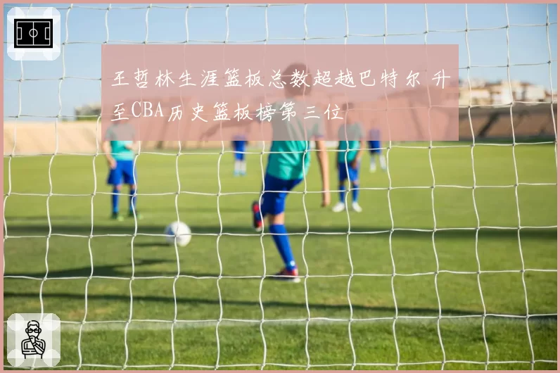 王哲林生涯篮板总数超越巴特尔 升至CBA历史篮板榜第三位