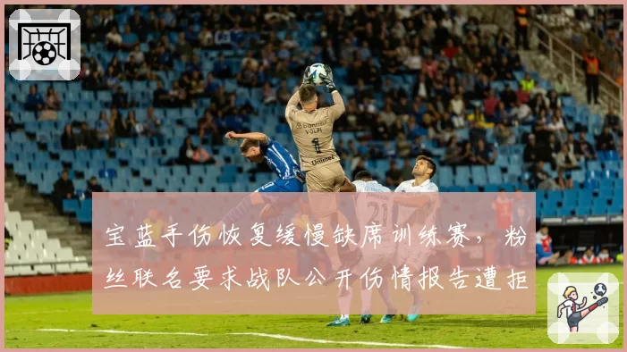 宝蓝手伤恢复缓慢缺席训练赛，粉丝联名要求战队公开伤情报告遭拒
