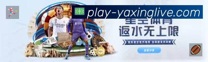 企业概况